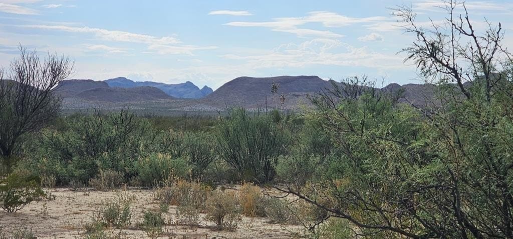 20 acres in Brewster County - photo 2