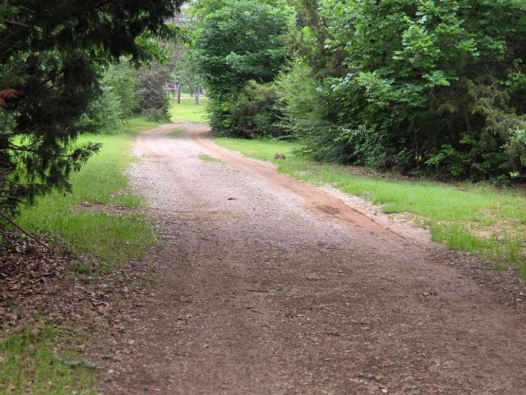 8.29 acres in Denton County gallery image 4