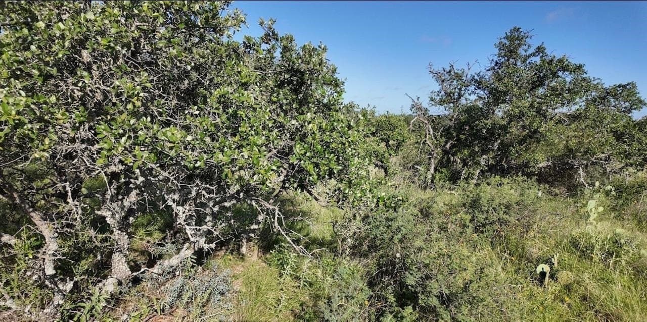 357.9 acres in McCulloch County - photo 24