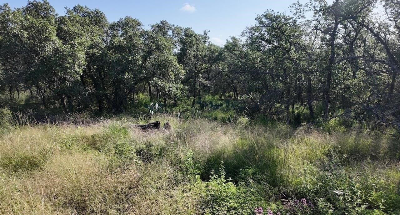 357.9 acres in McCulloch County - photo 28