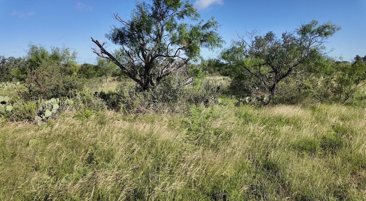 357.9 acres in McCulloch County - photo 23