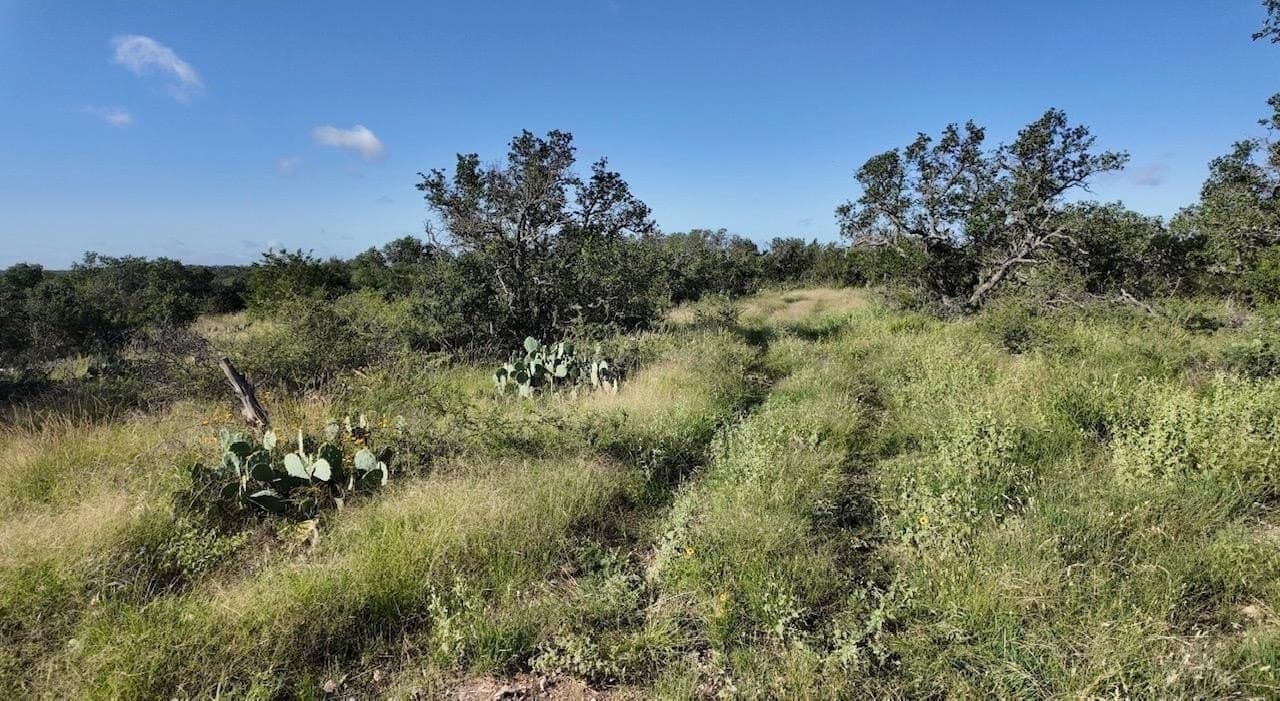 357.9 acres in McCulloch County - photo 21