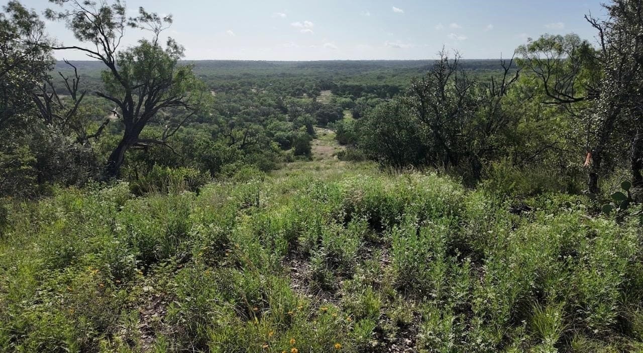 357.9 acres in McCulloch County - photo 22