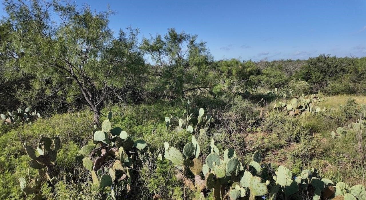 357.9 acres in McCulloch County - photo 19
