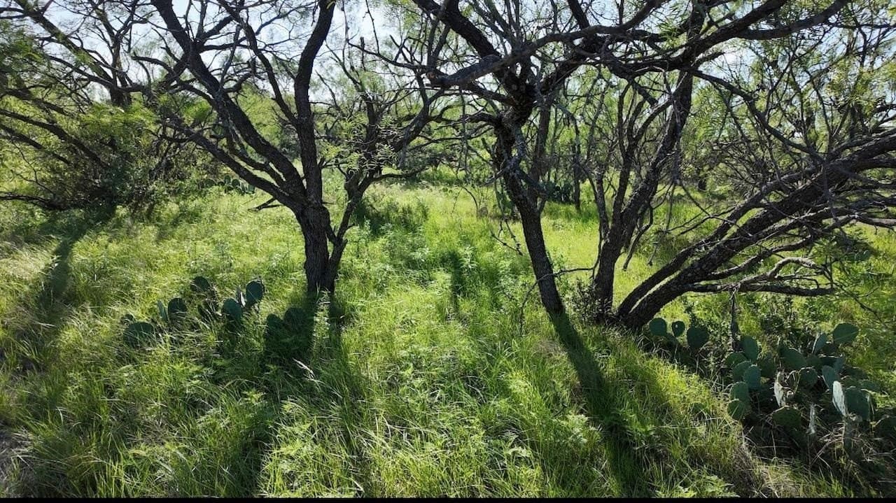 357.9 acres in McCulloch County - photo 34