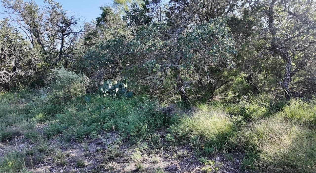 357.9 acres in McCulloch County - photo 26