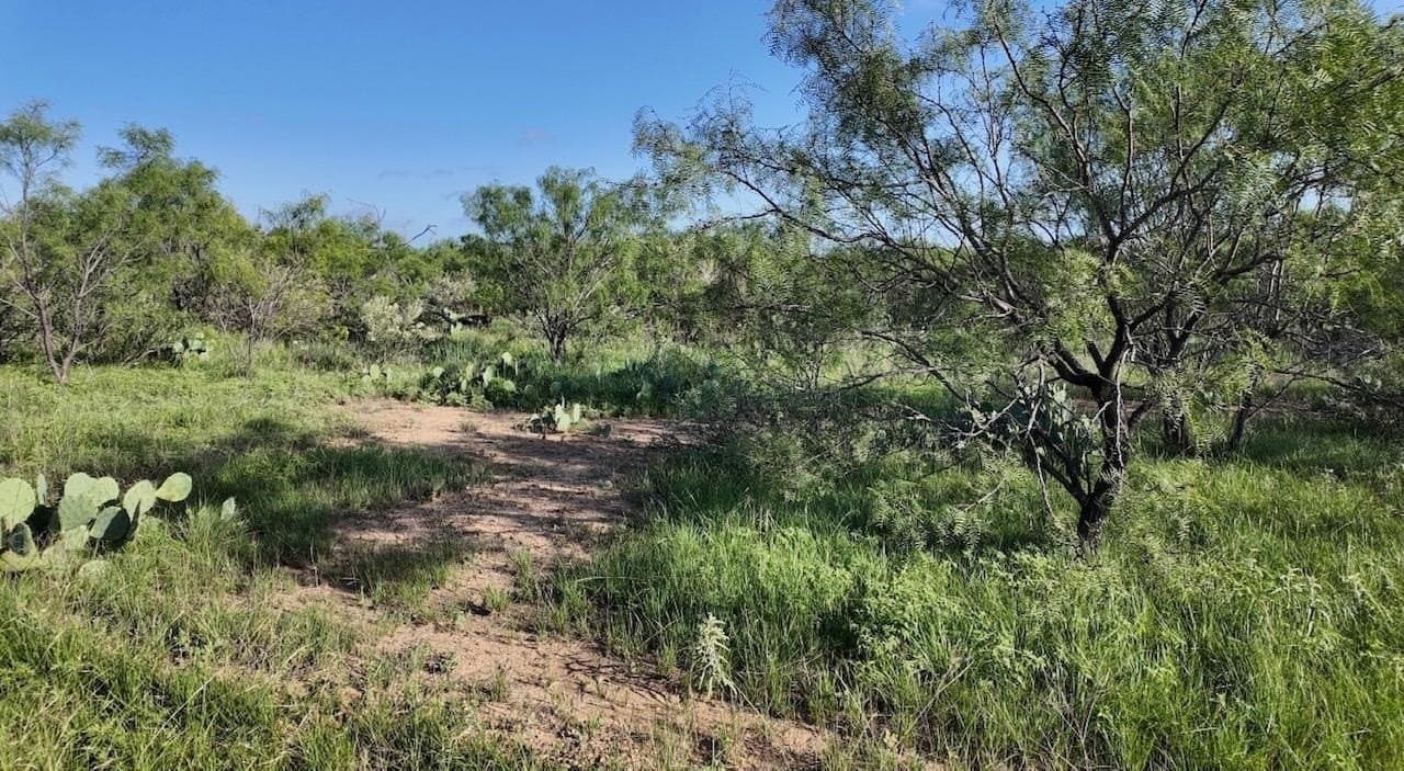 357.9 acres in McCulloch County - photo 3