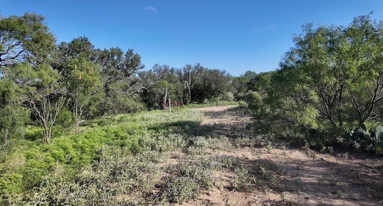357.9 acres in McCulloch County - photo 5