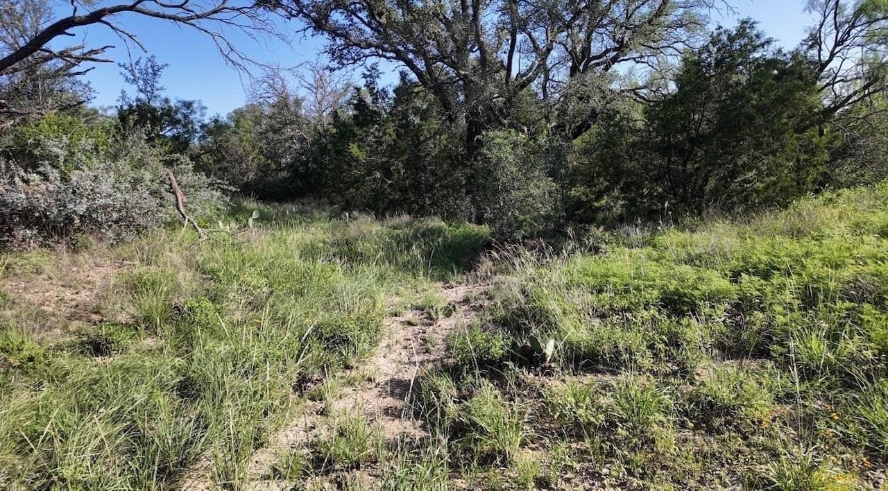 357.9 acres in McCulloch County - photo 10