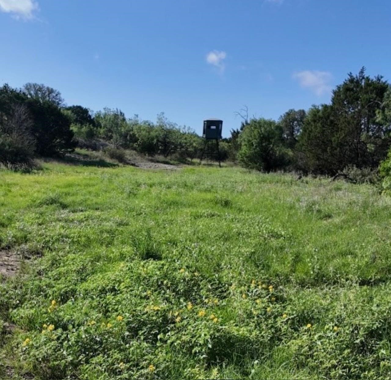 357.9 acres in McCulloch County - photo 7