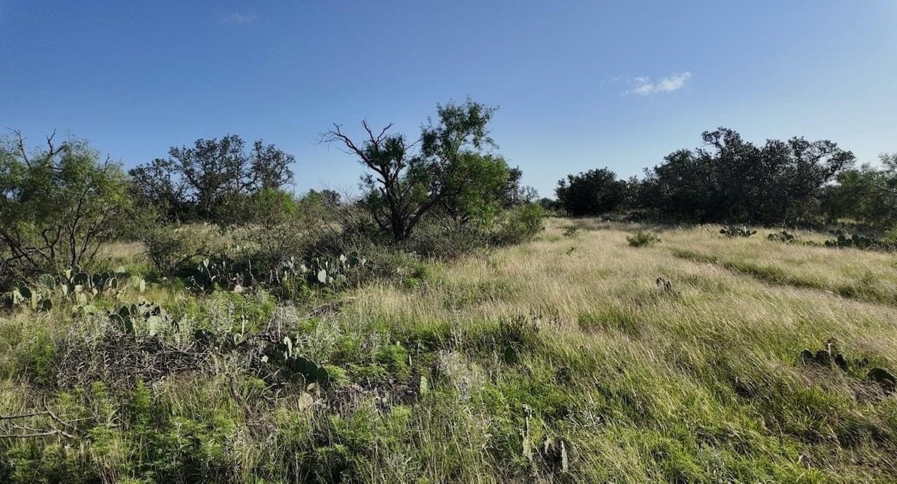 357.9 acres in McCulloch County - photo 15