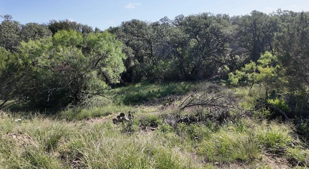 357.9 acres in McCulloch County - photo 29