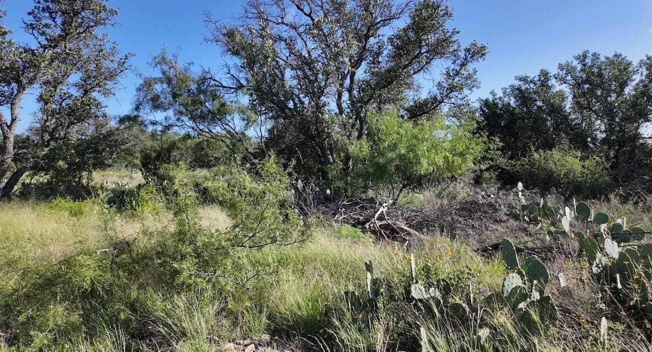 357.9 acres in McCulloch County - photo 14