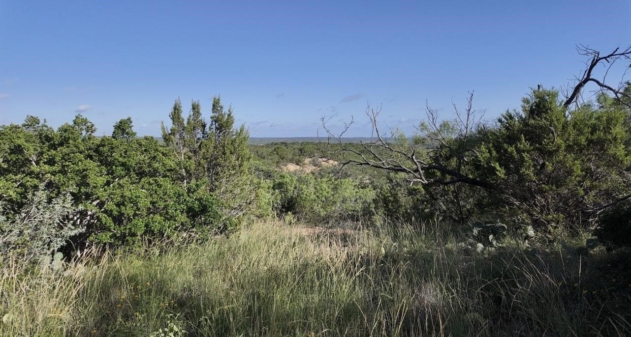357.9 acres in McCulloch County - photo 16