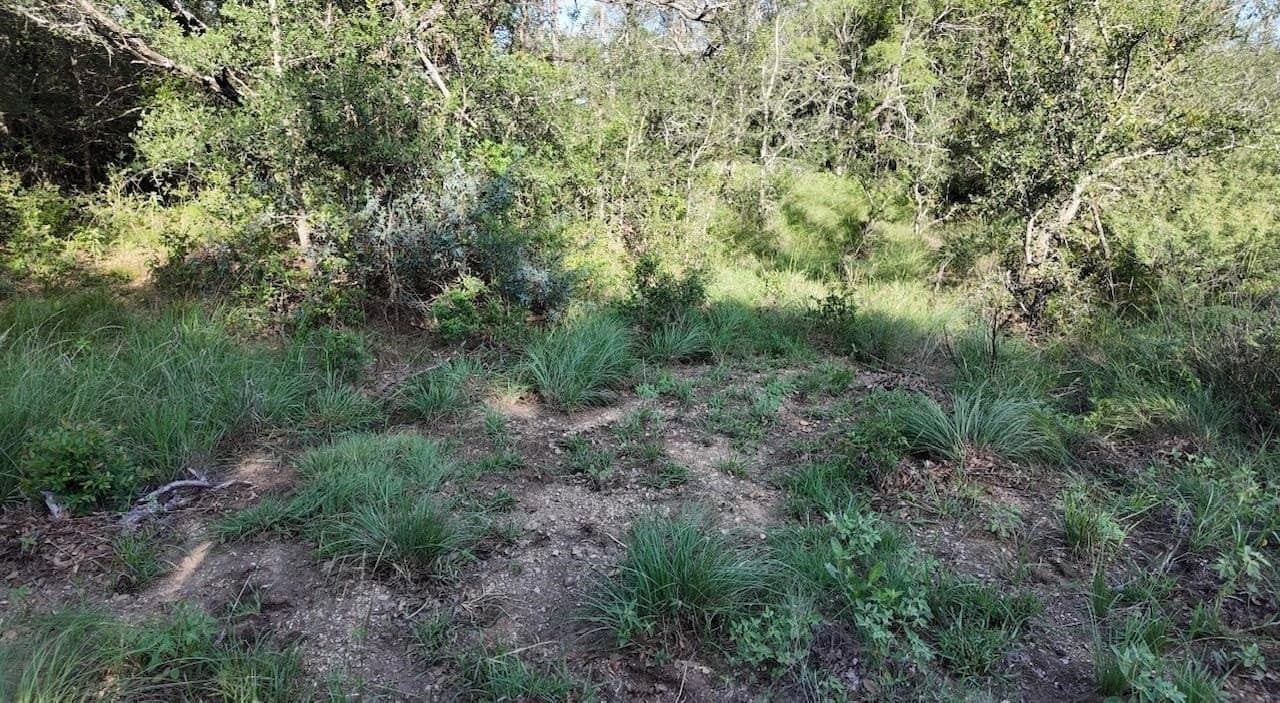 357.9 acres in McCulloch County - photo 8
