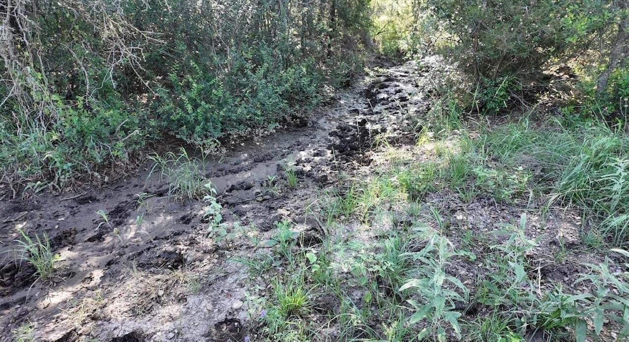 357.9 acres in McCulloch County - photo 39