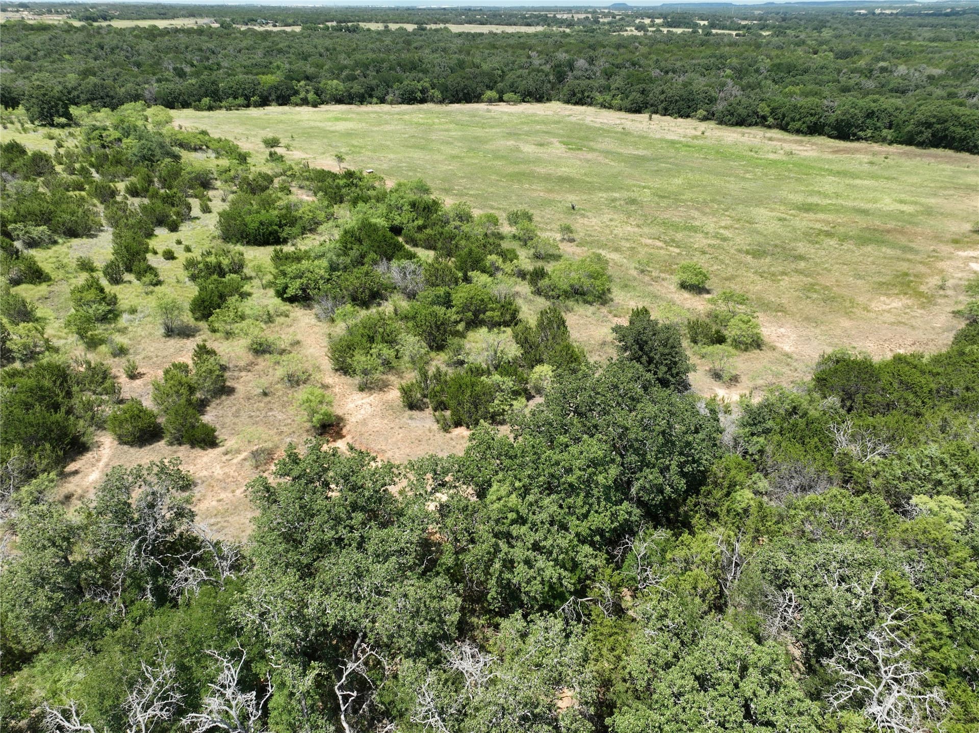 73.5 acres in Erath County - photo 6