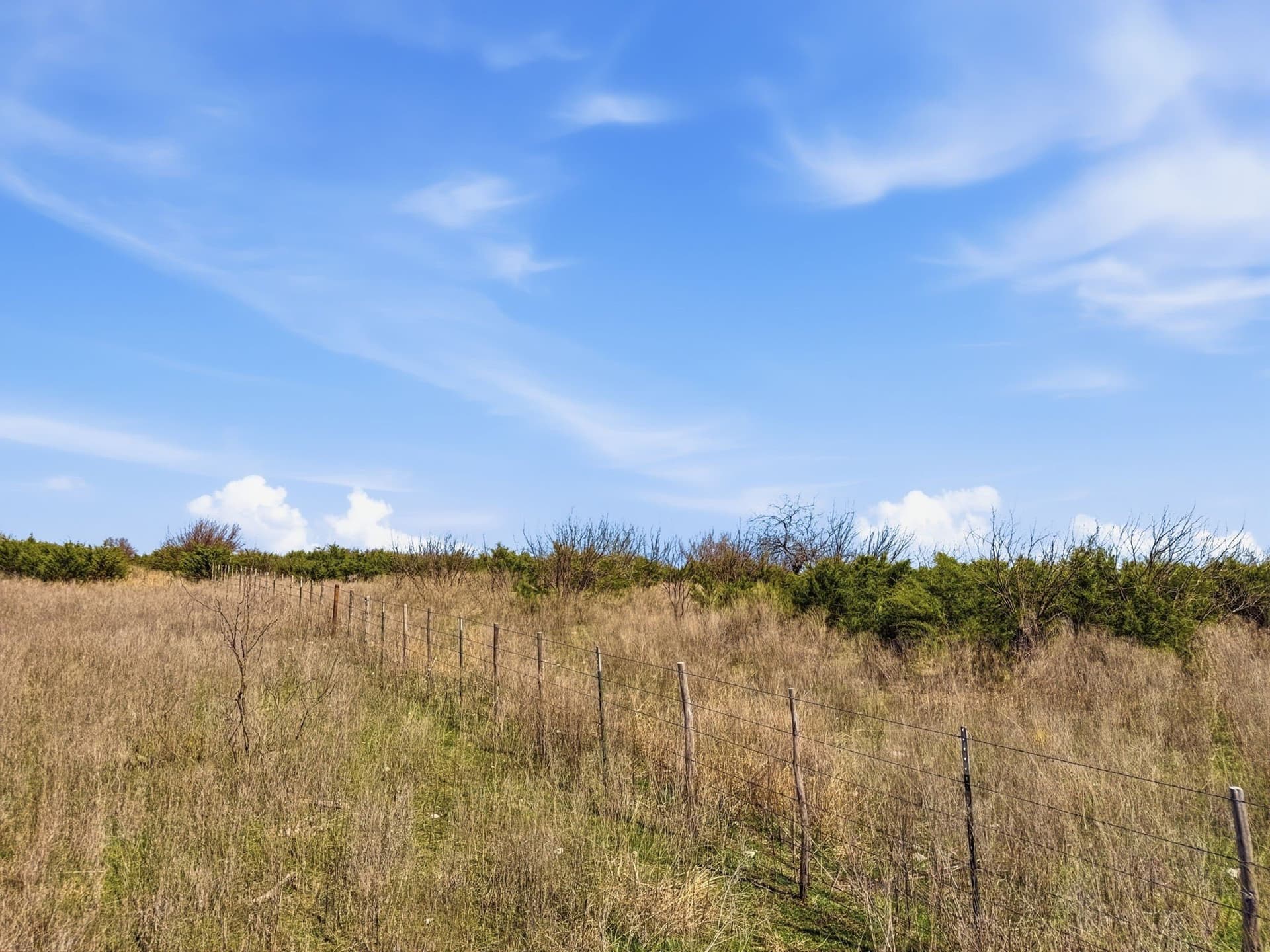 25.28 acres in Hamilton County - photo 9