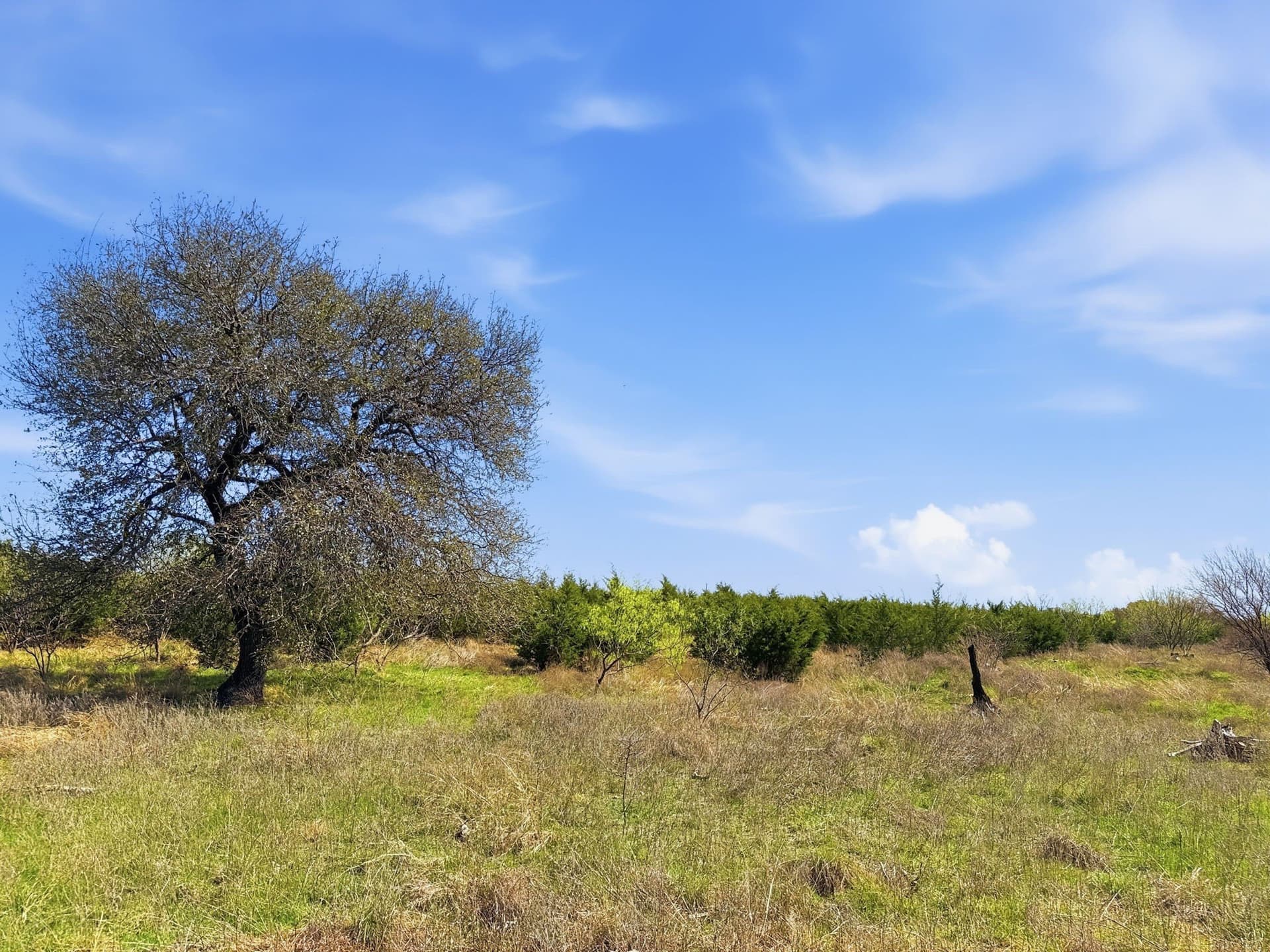 25.28 acres in Hamilton County - photo 14
