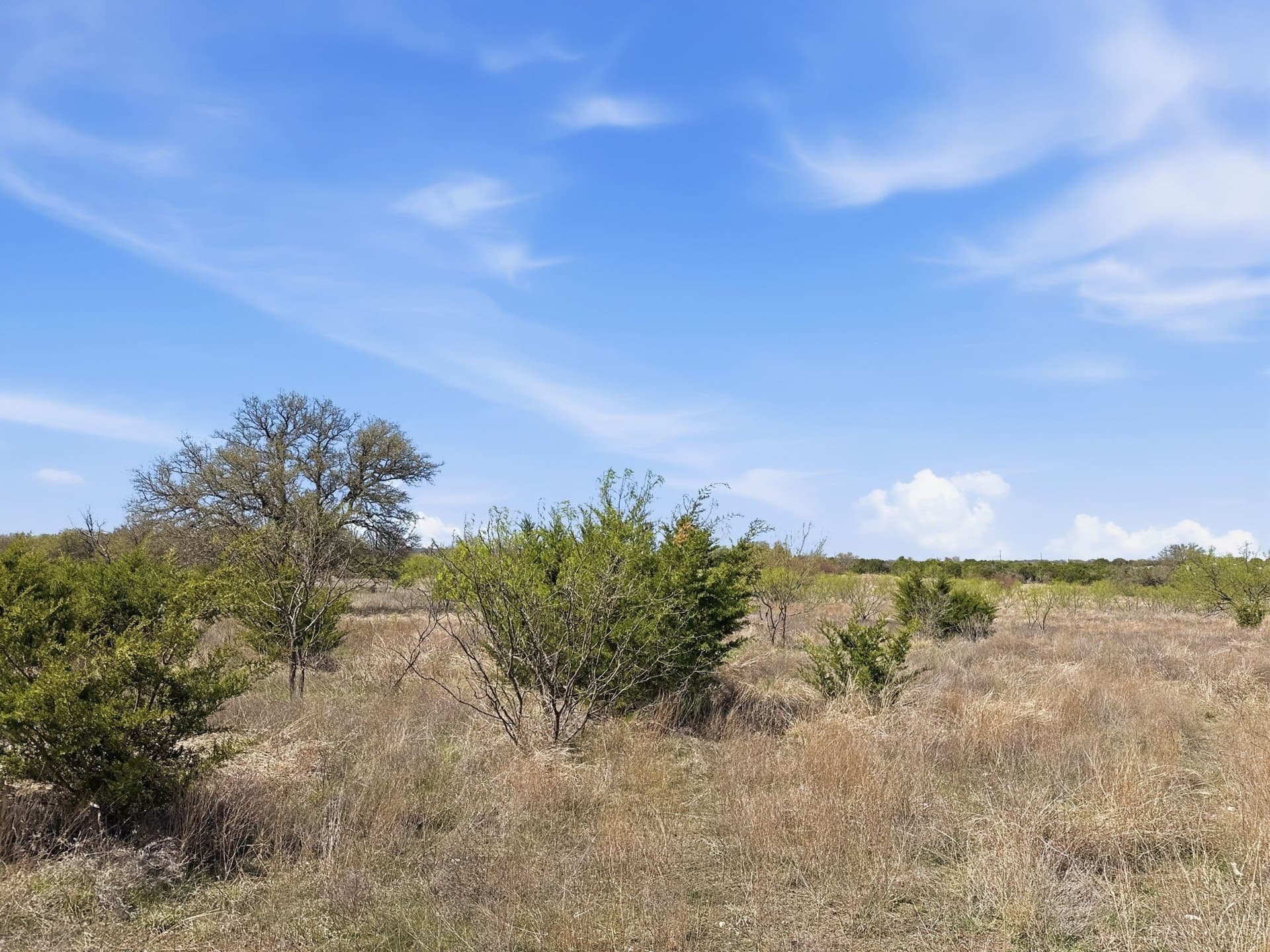 25.28 acres in Hamilton County - photo 19
