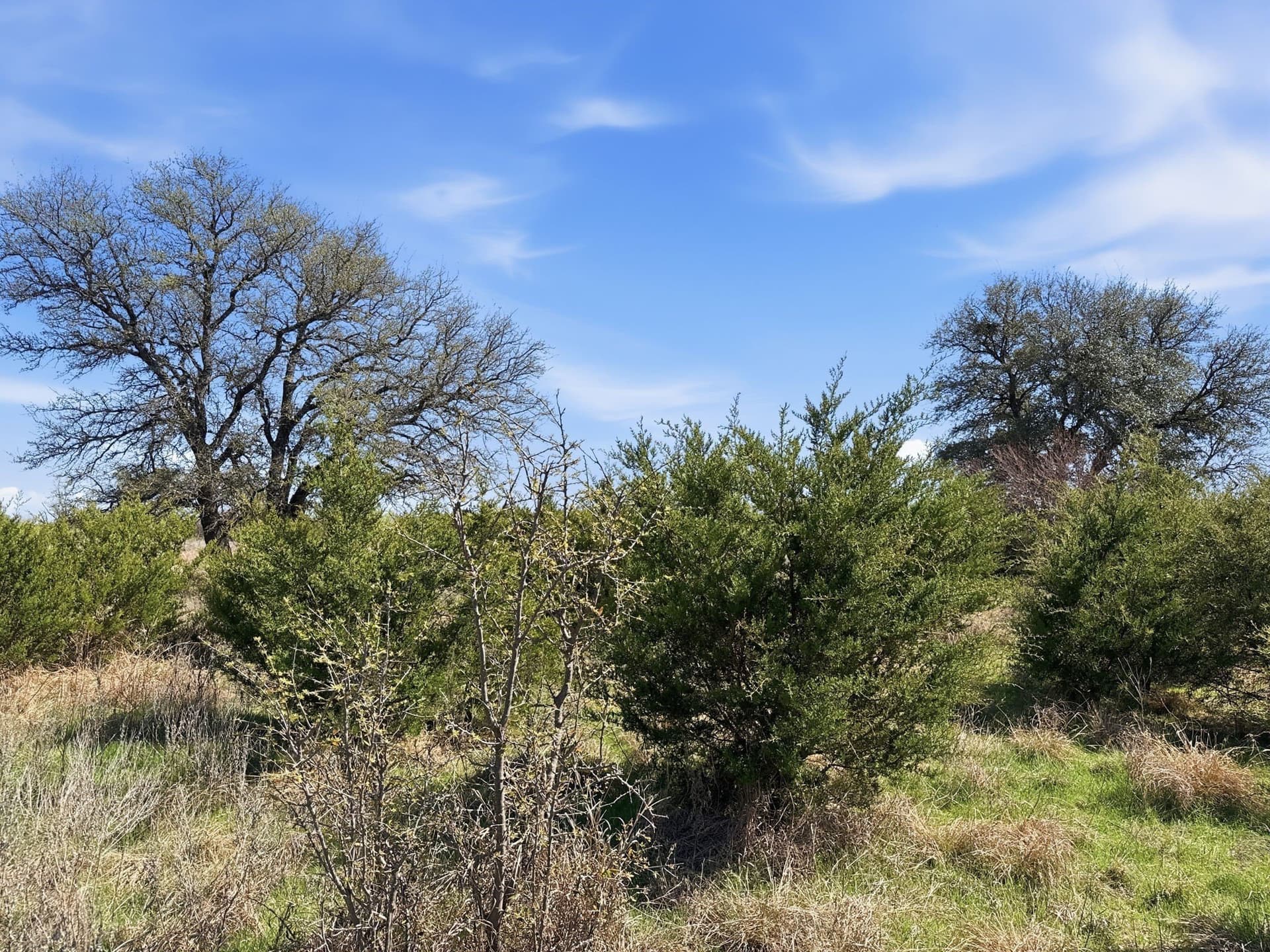 25.28 acres in Hamilton County - photo 7