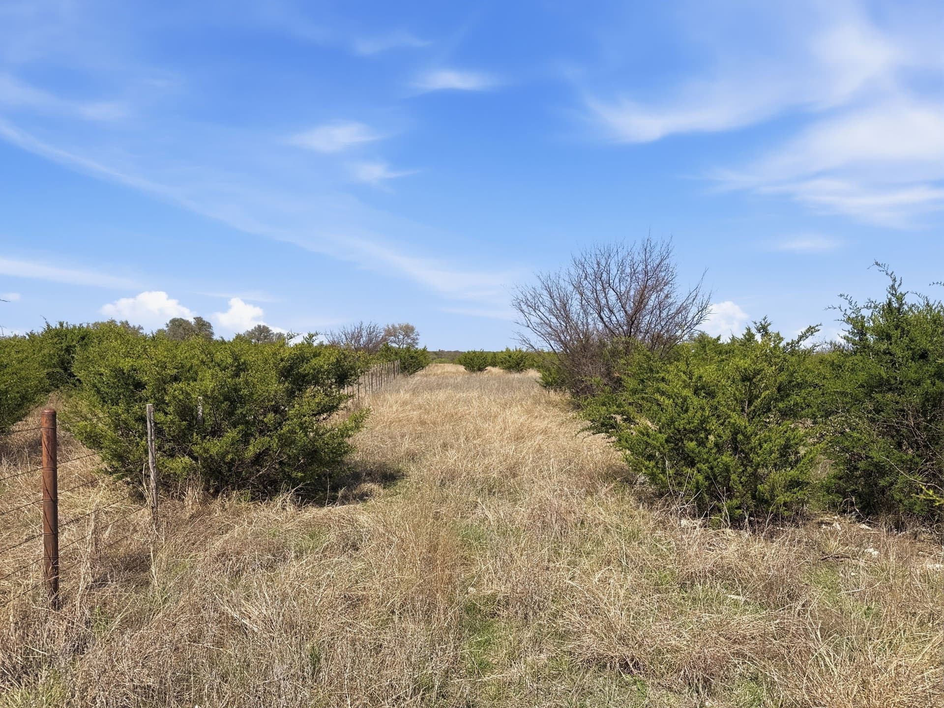 25.28 acres in Hamilton County - photo 24
