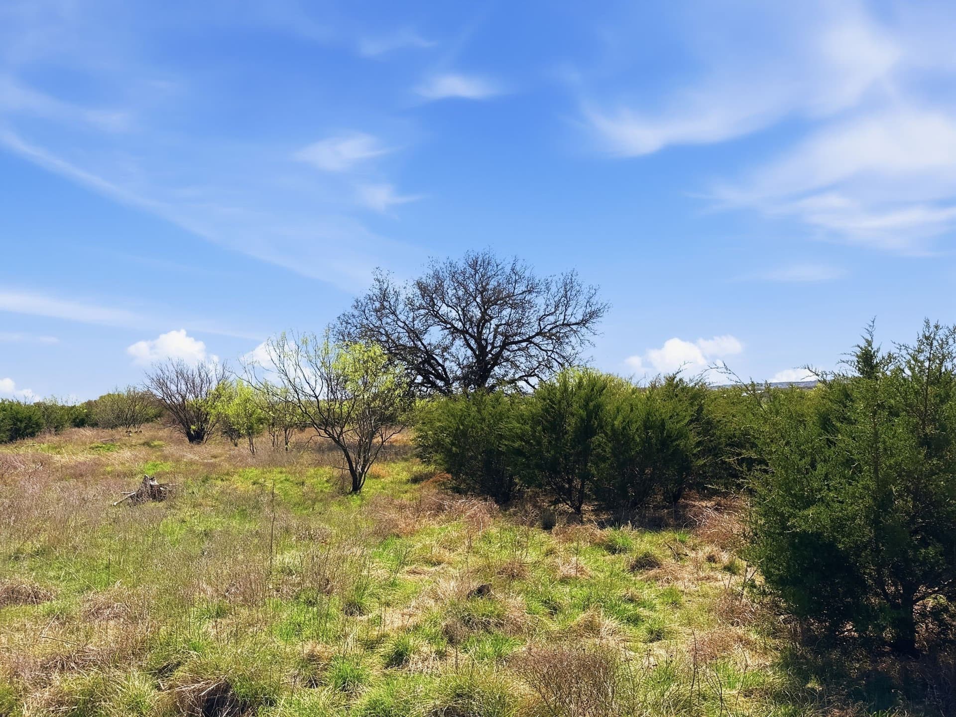 25.28 acres in Hamilton County - photo 15