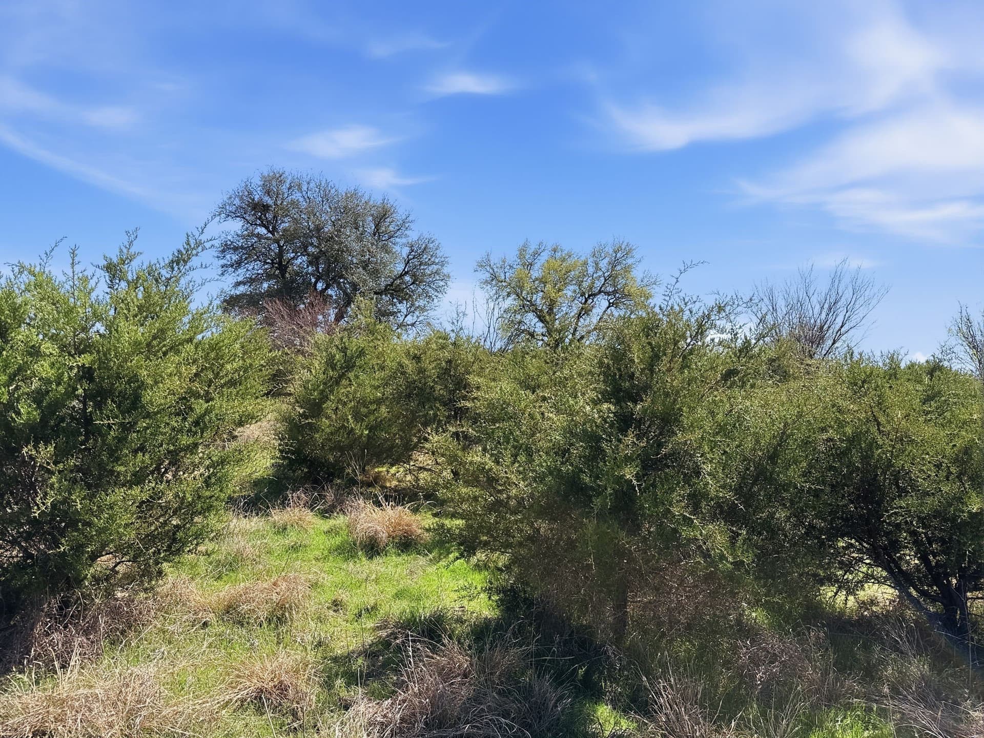 25.28 acres in Hamilton County gallery image 3