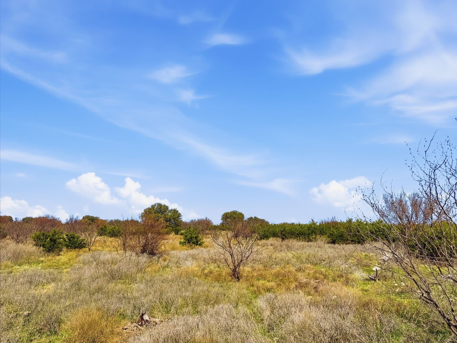 25.28 acres in Hamilton County - photo 13