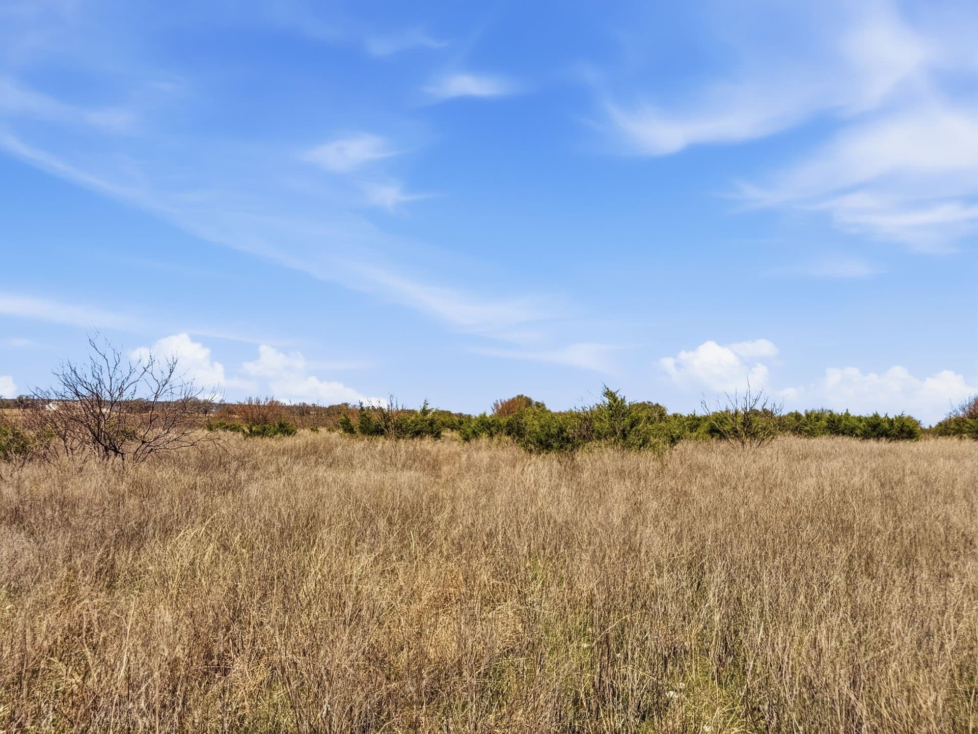 25.28 acres in Hamilton County - photo 8