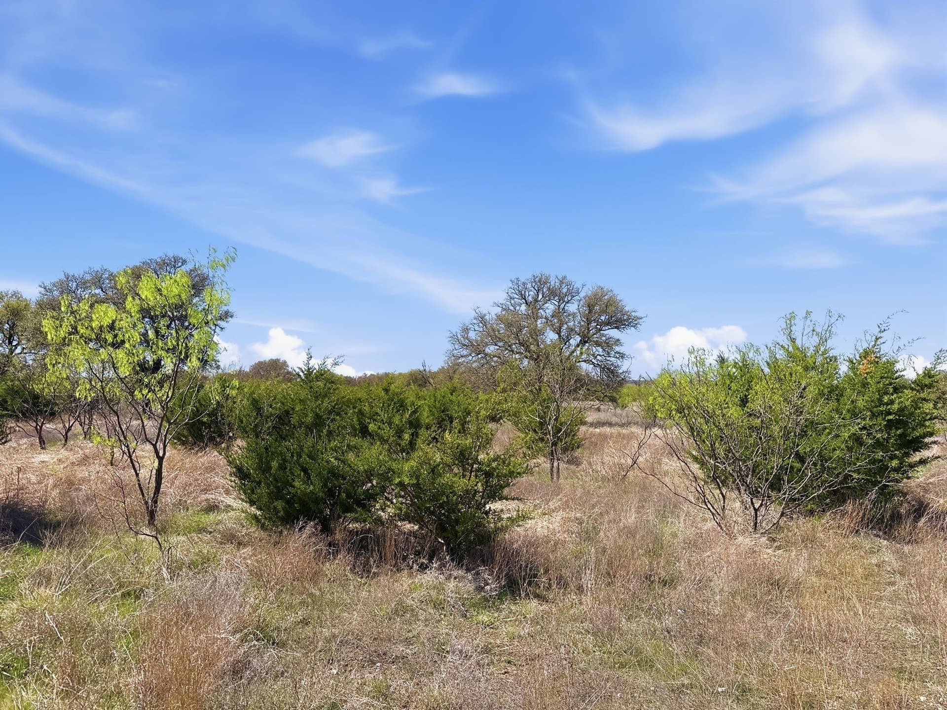 25.28 acres in Hamilton County - photo 18