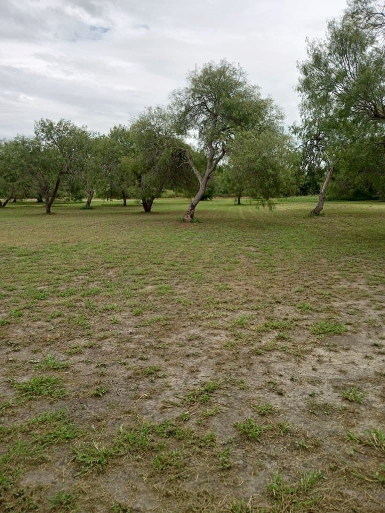 1.15 acres in Texas County - photo 6