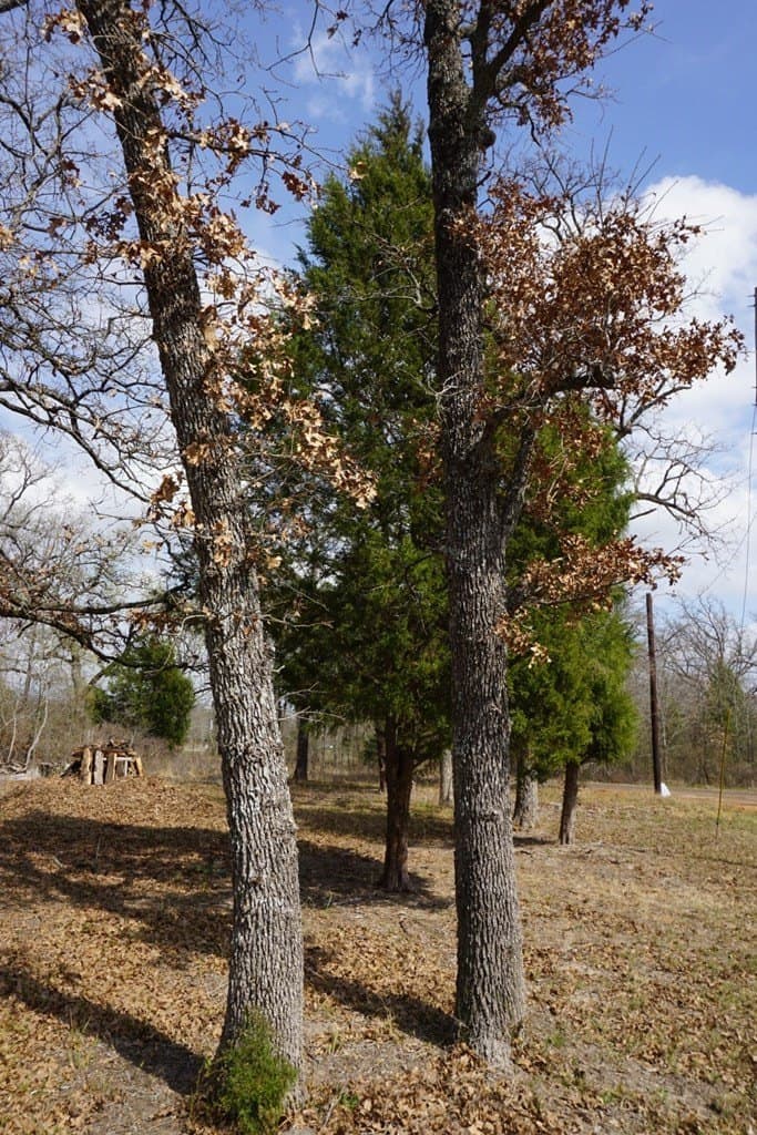0.3 acres in Henderson County featured view