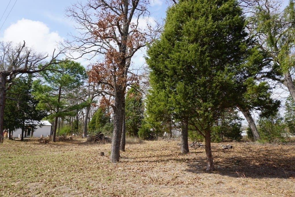 0.3 acres in Henderson County gallery image 4