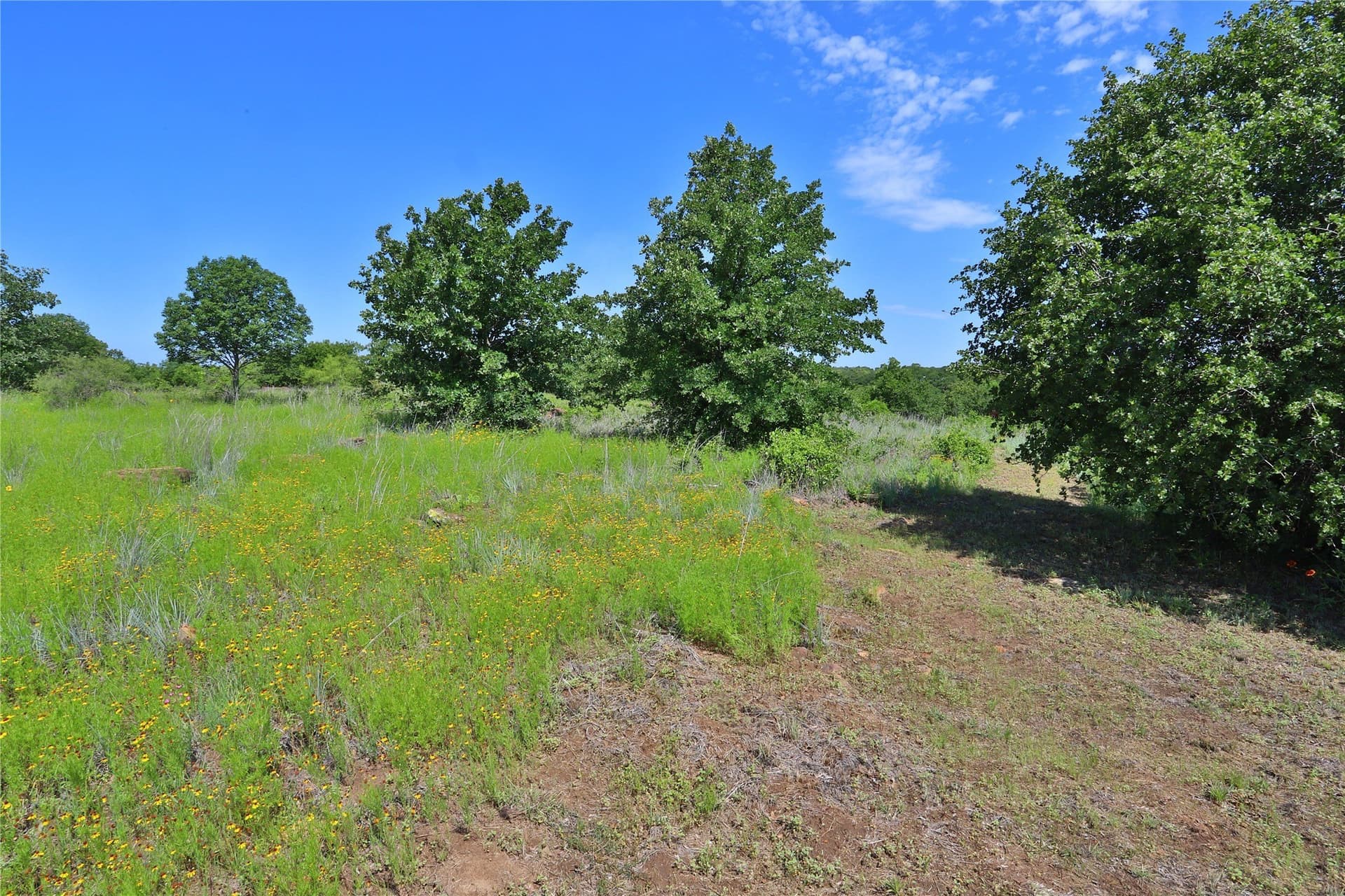 1.46 acres in Palo Pinto County - photo 6