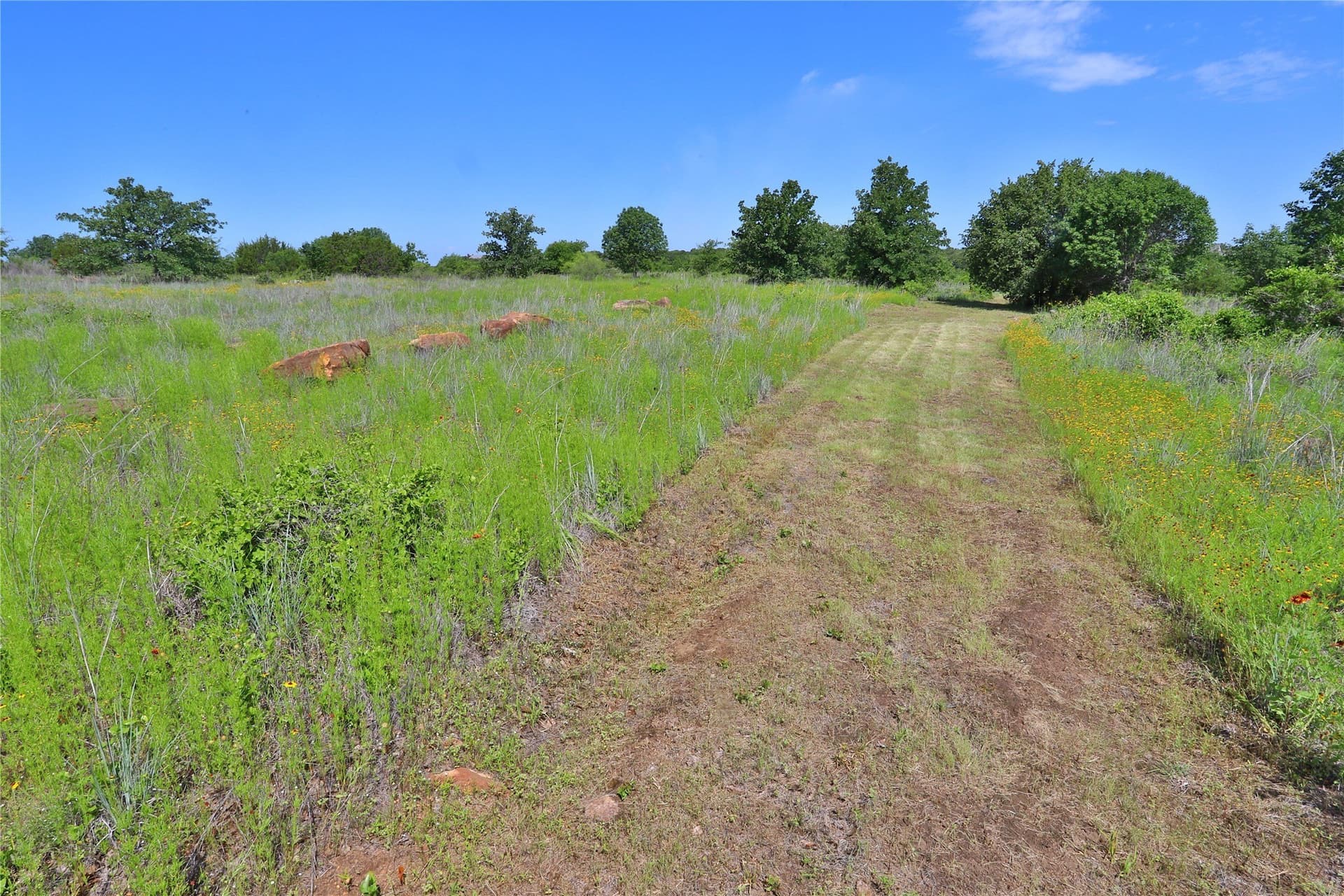 1.46 acres in Palo Pinto County - photo 4