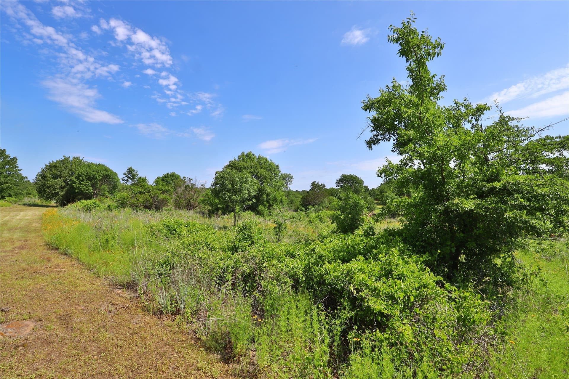 1.46 acres in Palo Pinto County - photo 3