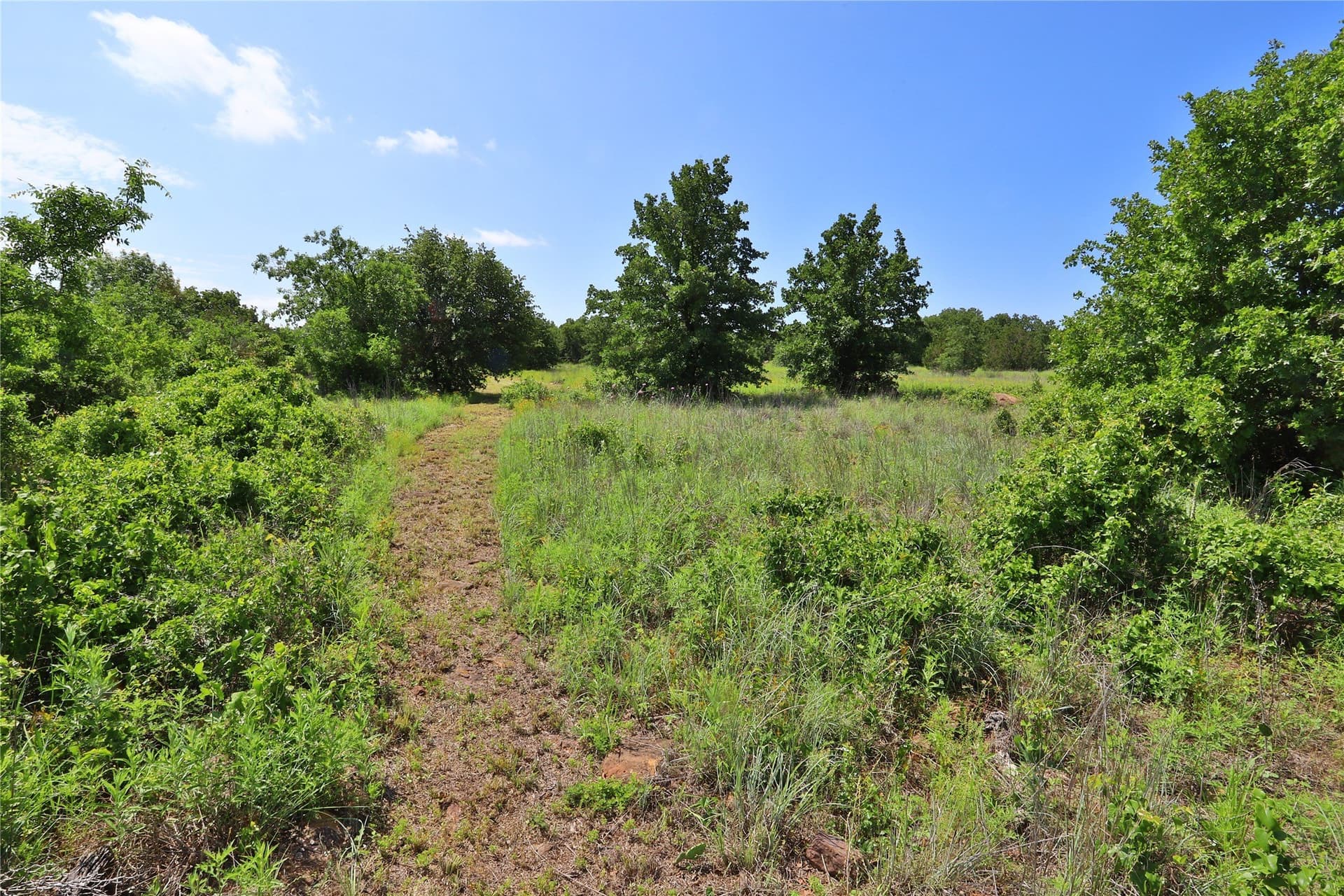 1.46 acres in Palo Pinto County - photo 7