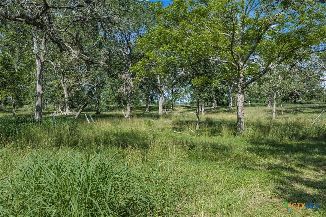 2.01 acres in DeWitt County - photo 7