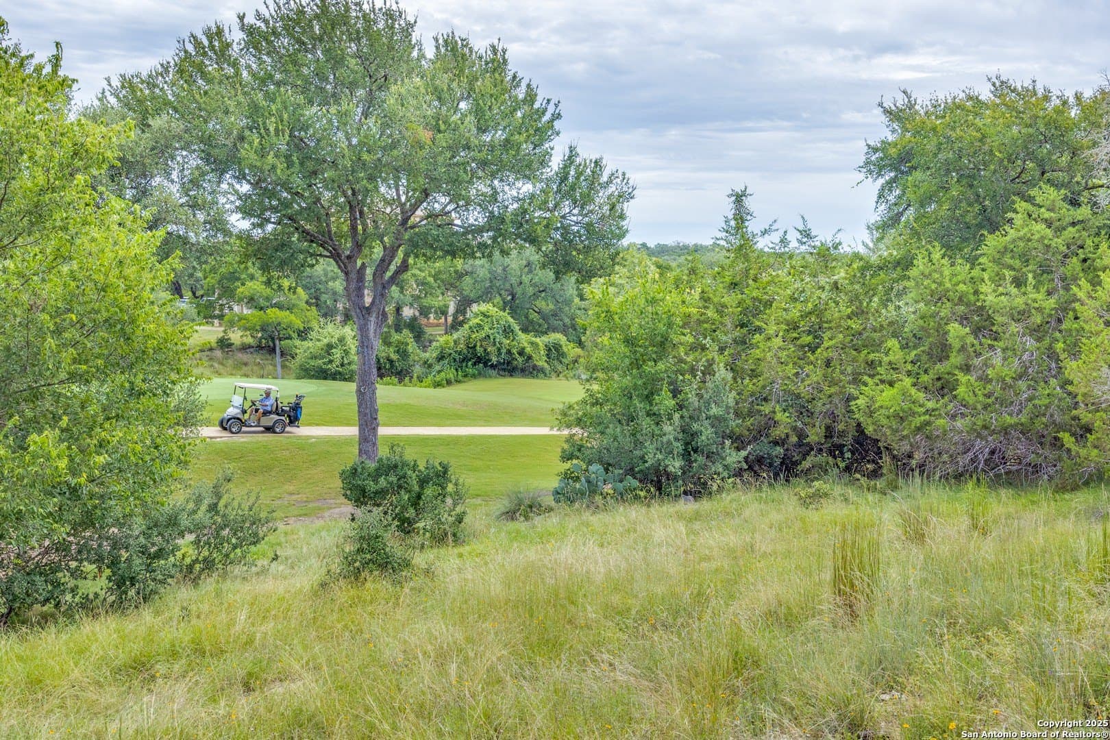 0.27 acres in Blanco County - photo 14