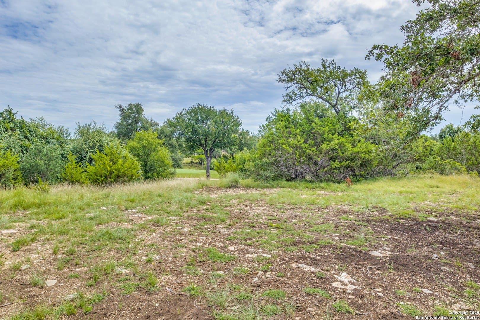 0.27 acres in Blanco County - photo 16