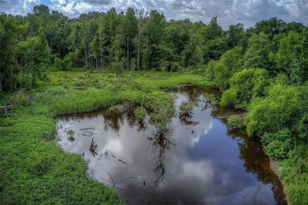 23.8 acres in Hopkins County gallery image 3