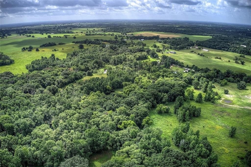 23.8 acres in Hopkins County gallery image 4