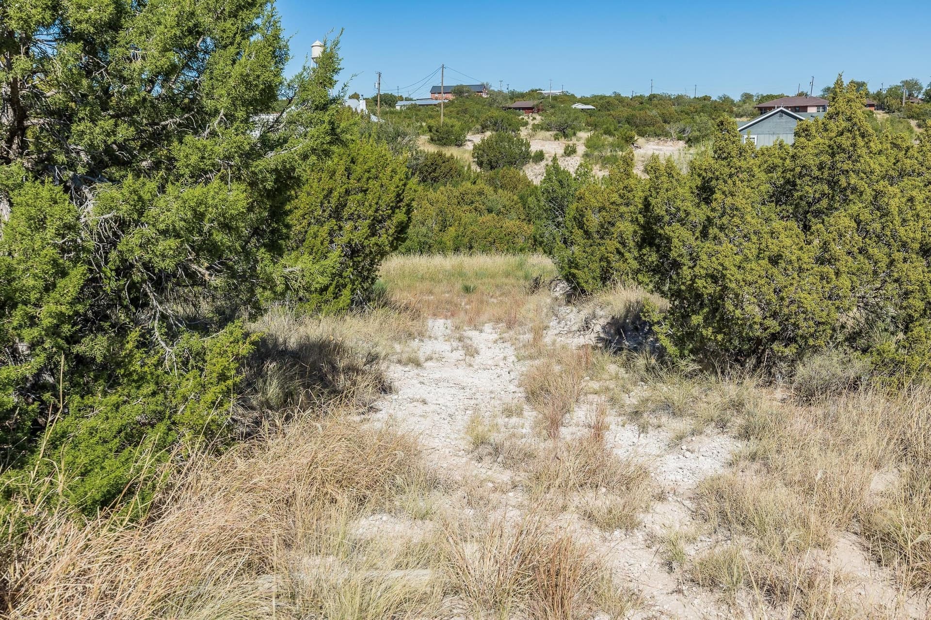 0 acres in Randall County - photo 10