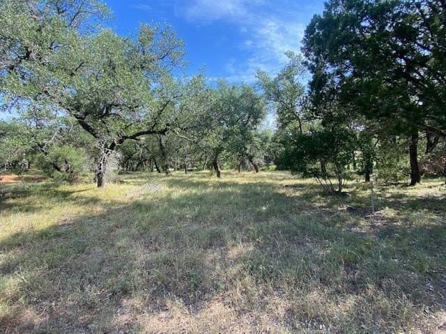 0.26 acres in Llano County gallery image 4
