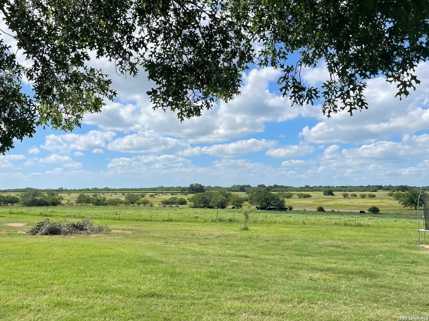 10.1 acres in Guadalupe County - photo 30
