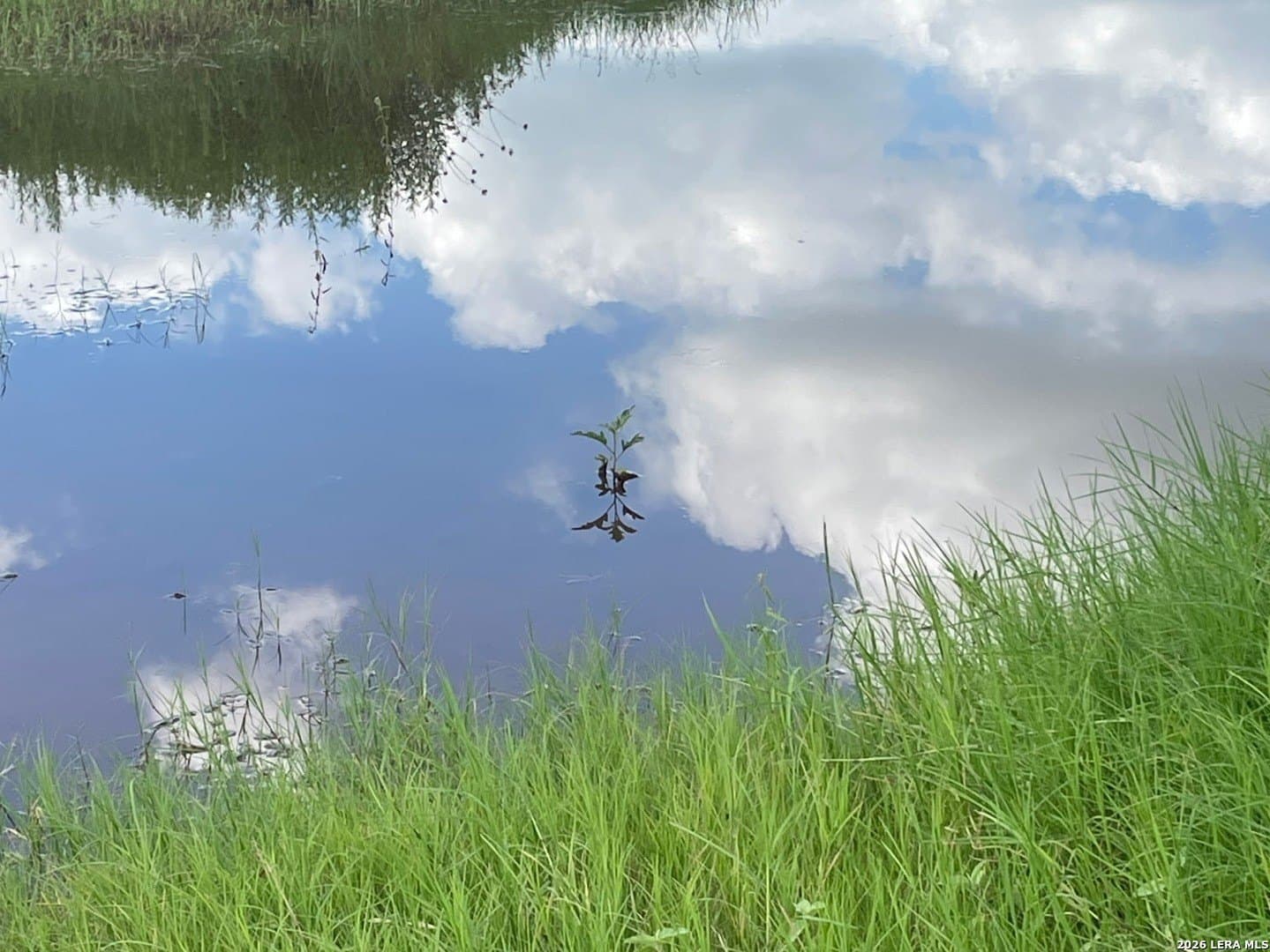 10.1 acres in Guadalupe County - photo 32