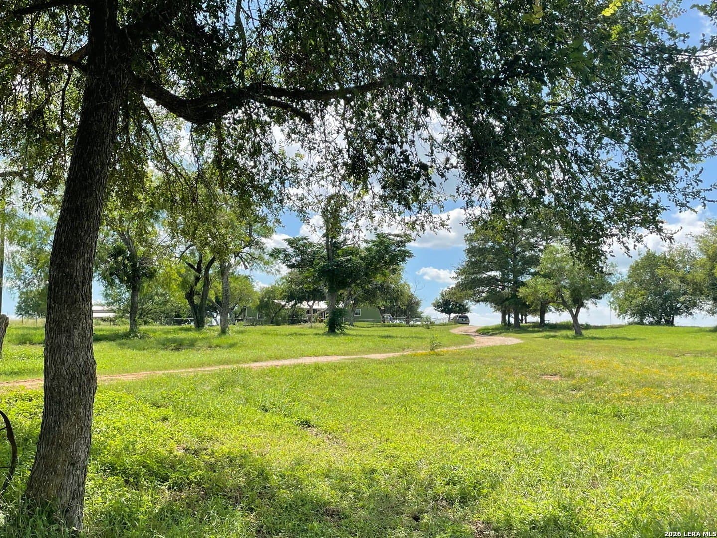10.1 acres in Guadalupe County - photo 34