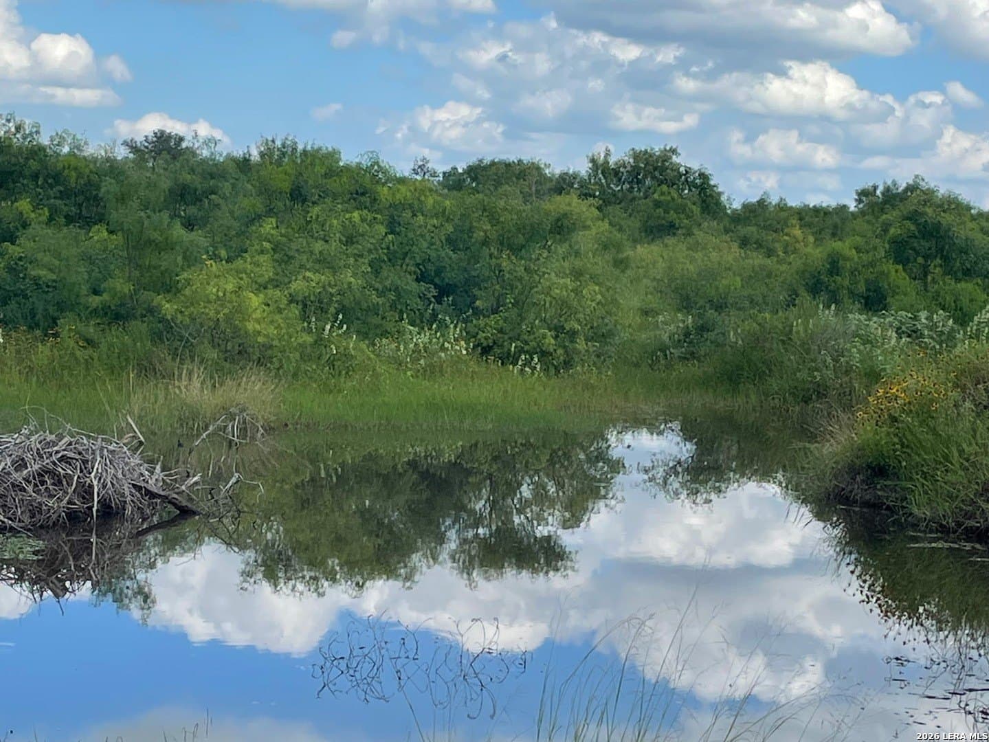 10.1 acres in Guadalupe County - photo 31