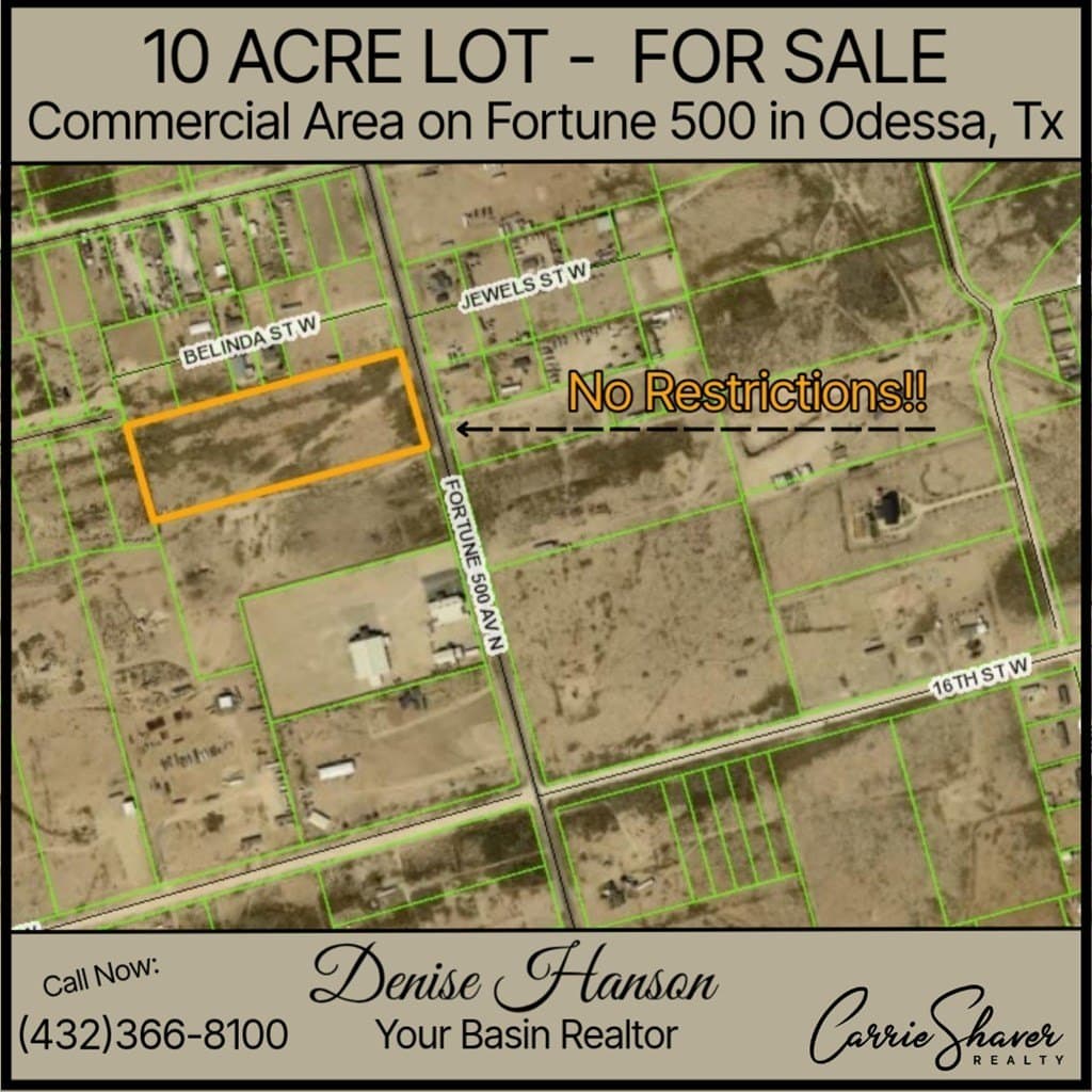 10 acres in Ector County gallery image 2